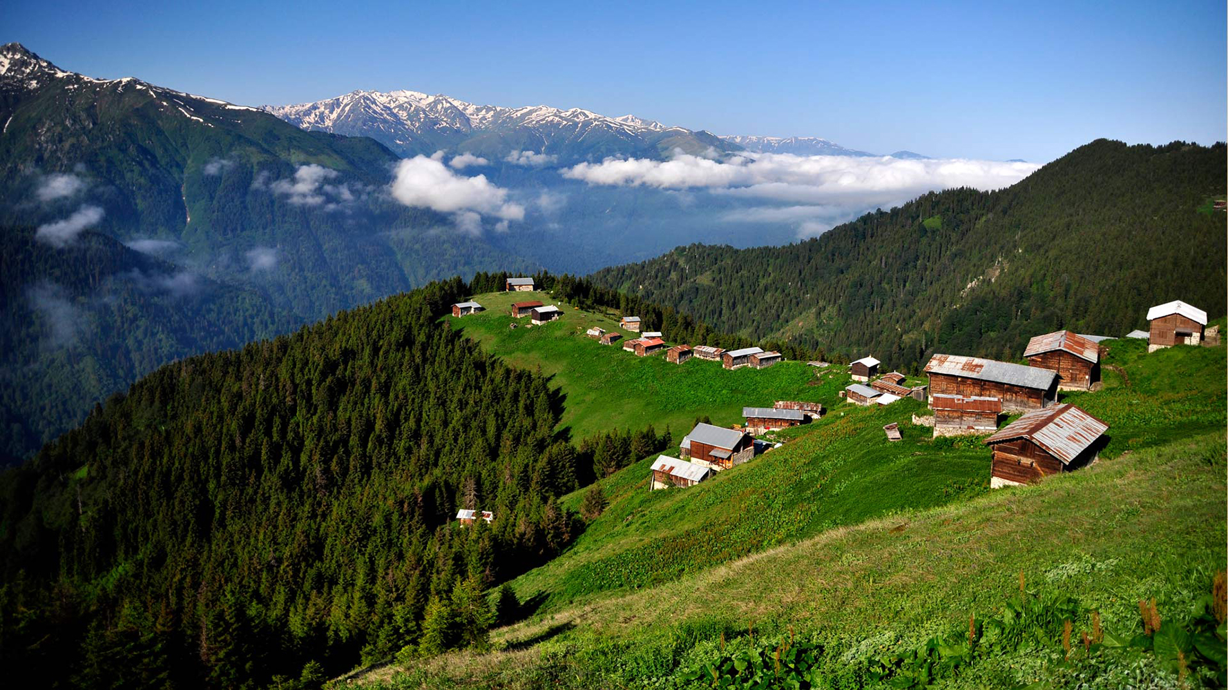 Karadeniz Turu